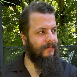 Lucian Ilie Vultur